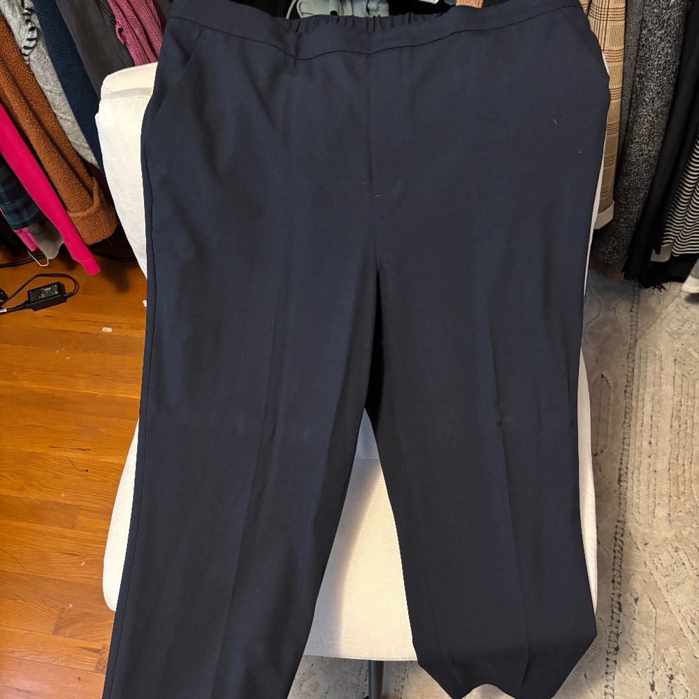 Banana Republic Hayden Pant